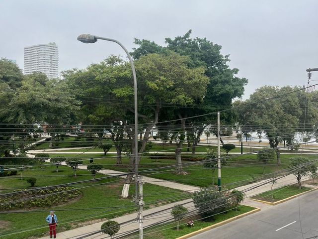 place photo 36