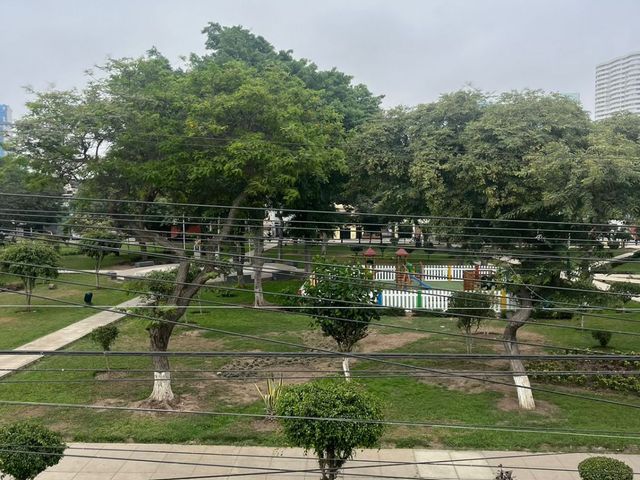 place photo 37
