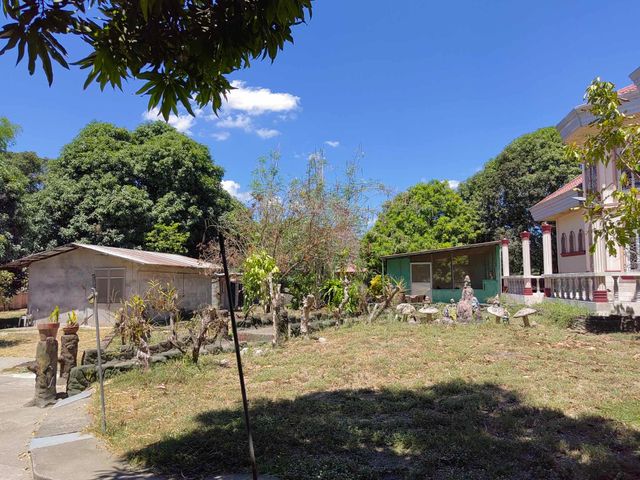 place photo 22