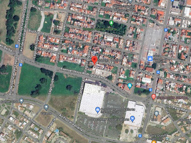 place photo 12