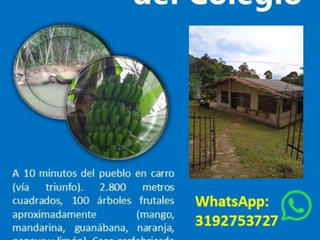 place photo 32