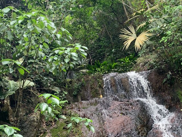 place photo 23