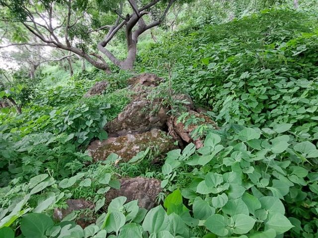 place photo 6