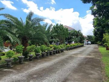 place photo 81