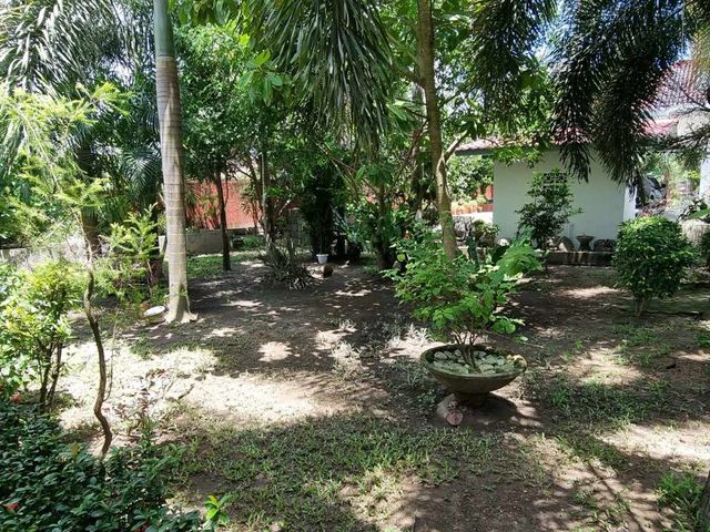 place photo 67