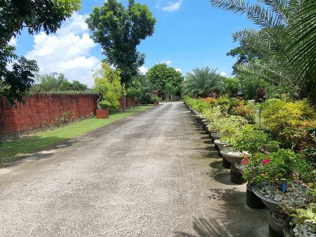 place photo 74
