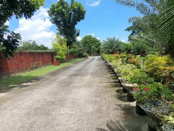 place photo 74