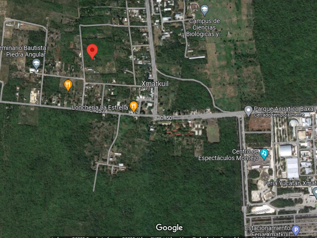 place photo 19