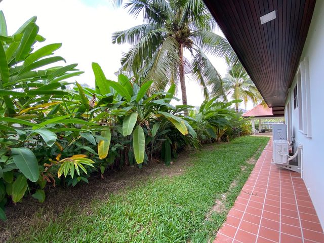 place photo 48
