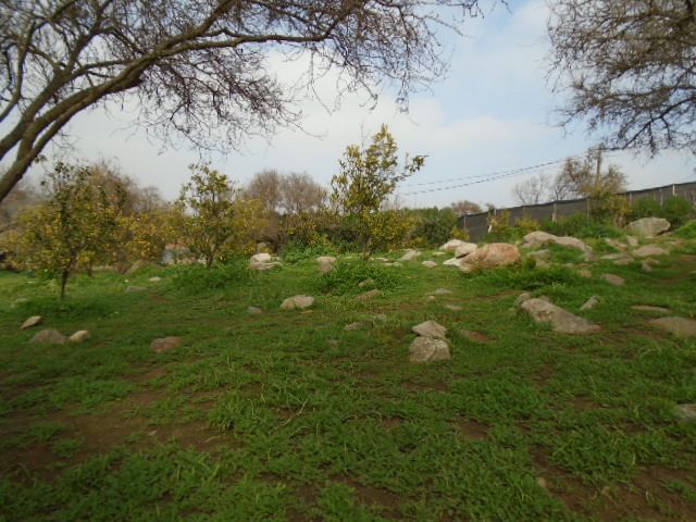 place photo 32