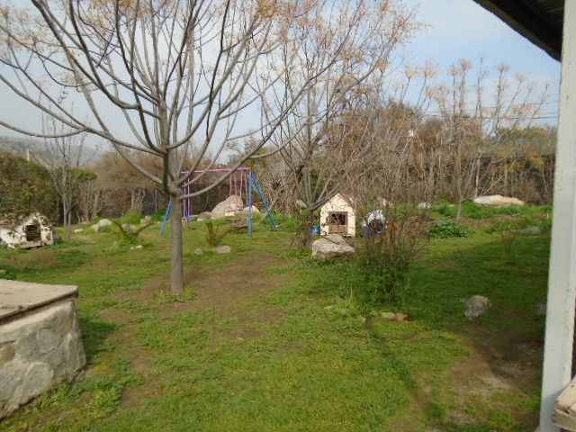 place photo 34