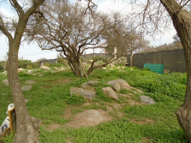place photo 31