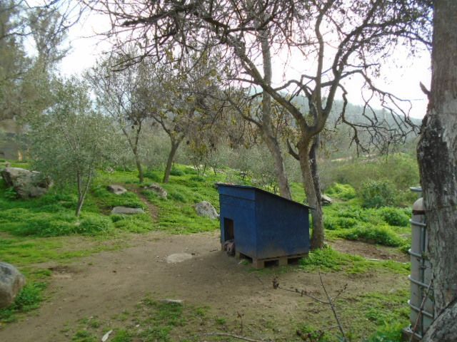 place photo 25