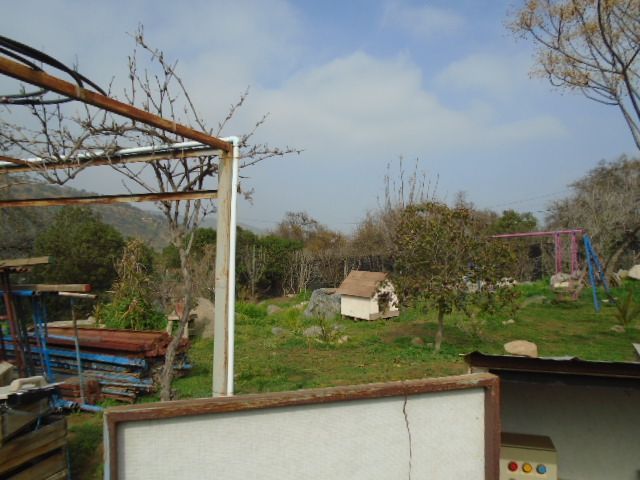place photo 37