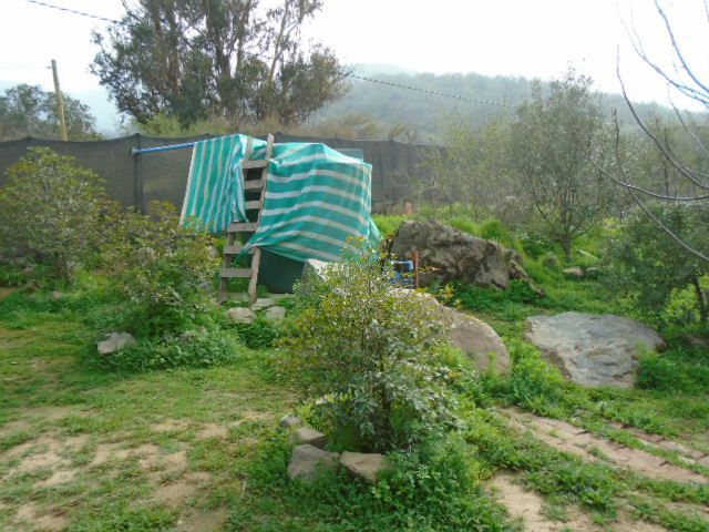 place photo 30