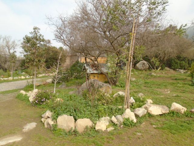 place photo 33