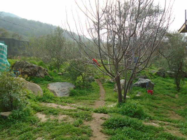 place photo 29