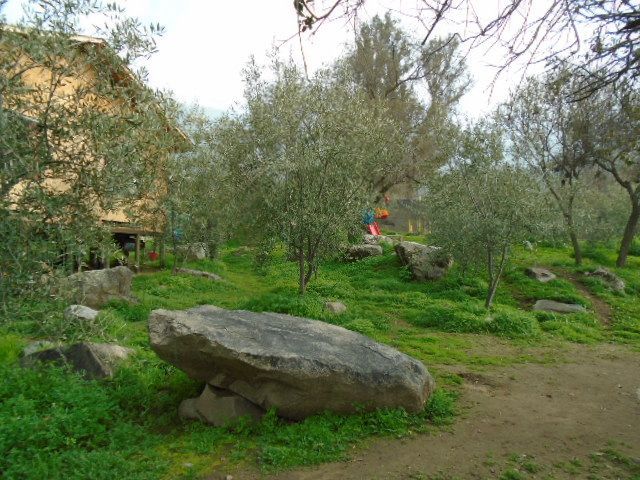 place photo 26