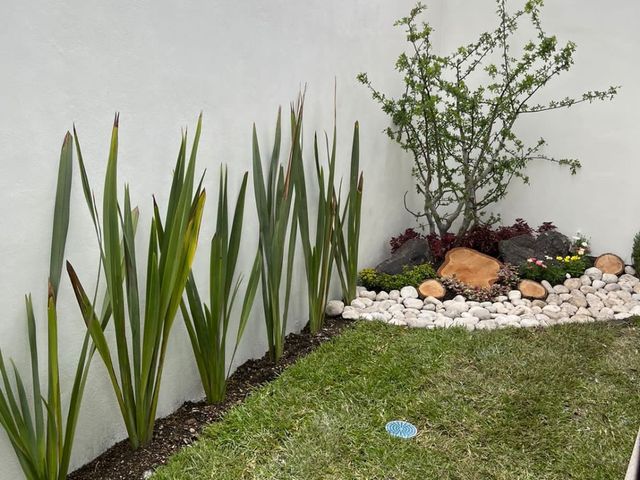 place photo 30