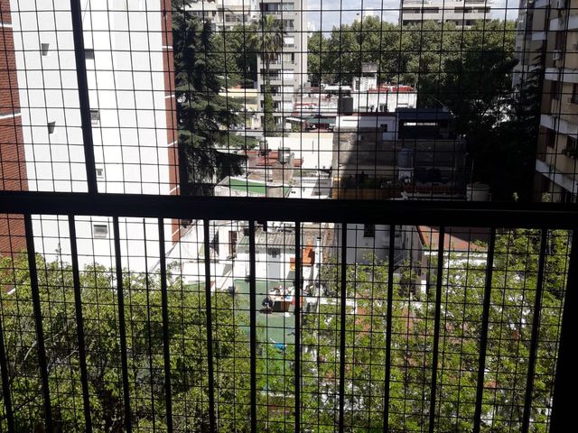 place photo 23