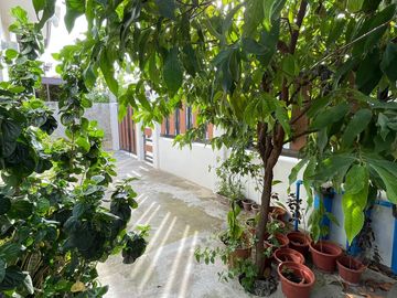 place photo 33