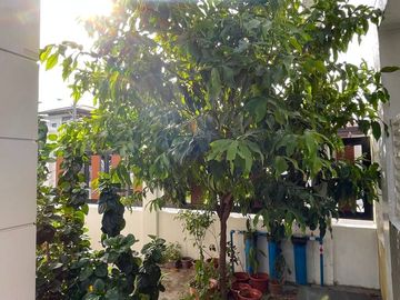 place photo 35