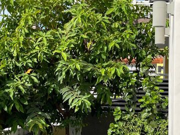 place photo 37