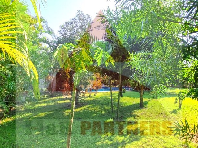 place photo 68
