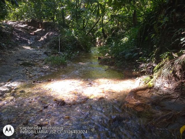 place photo 28