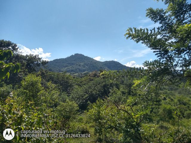 place photo 35