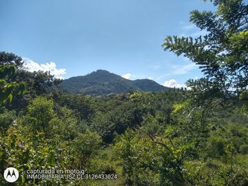 place photo 35