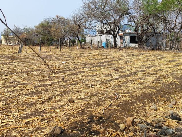 place photo 5