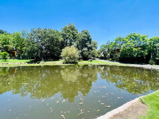 place photo 26