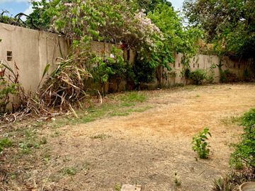 place photo 29