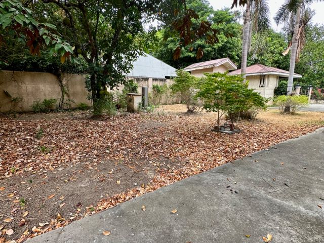 place photo 32
