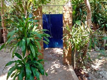 place photo 30