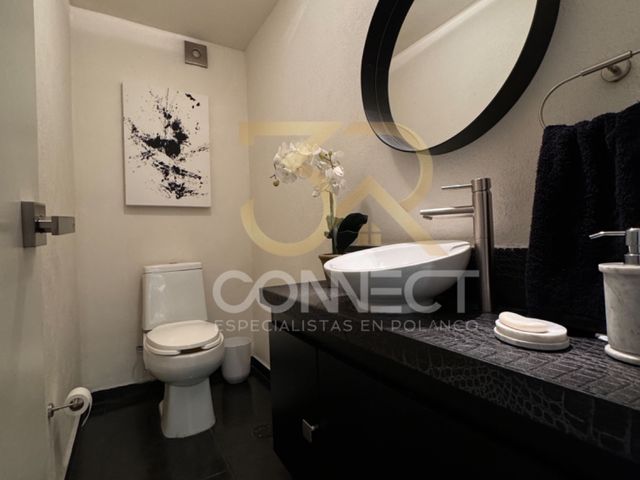 place photo 46
