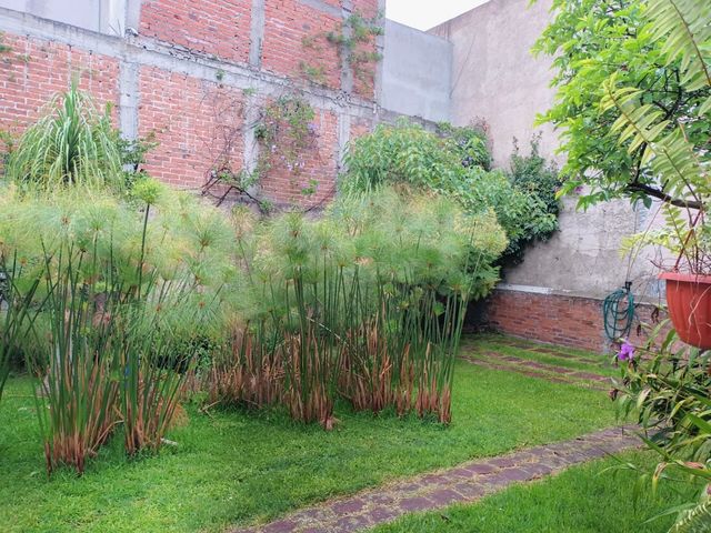 place photo 56