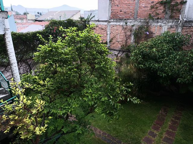 place photo 57