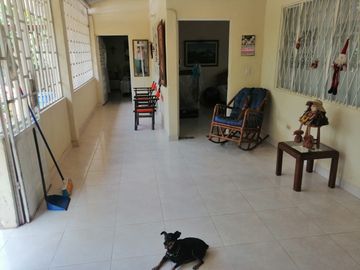 place photo 7