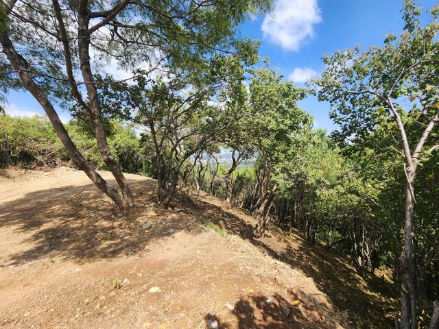 place photo 46
