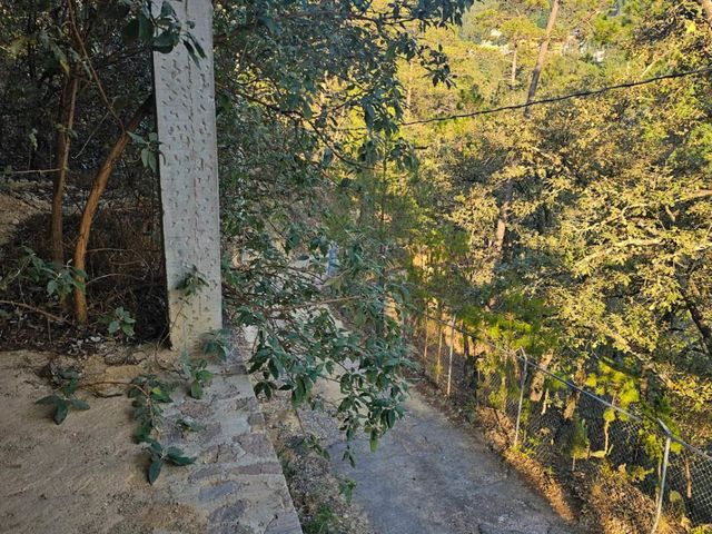 place photo 68