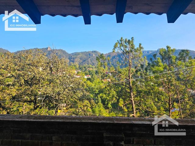 place photo 26