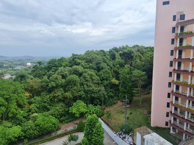 place photo 36
