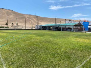 place photo 17