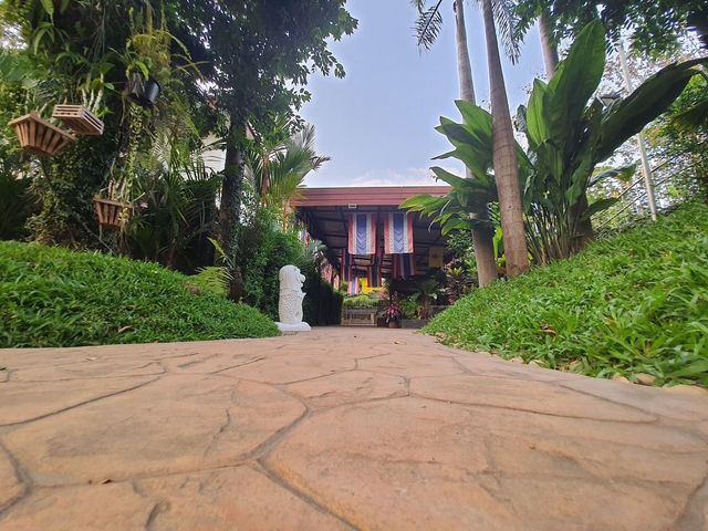 place photo 24