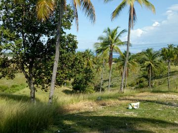 place photo 21
