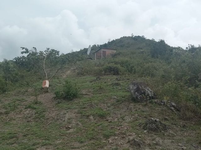place photo 37