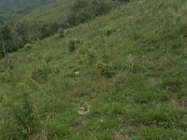 place photo 49