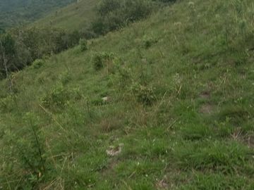 place photo 49